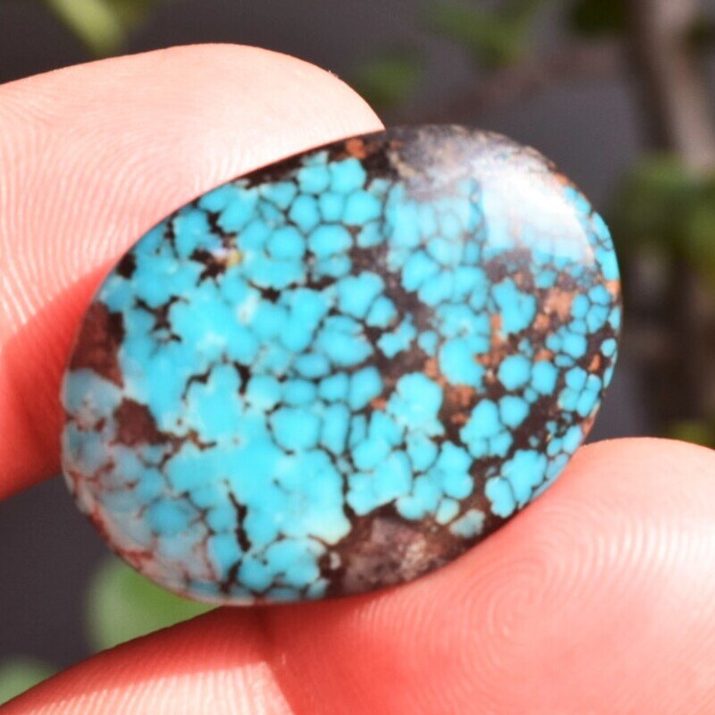 Turquoise-Feroza-c41
