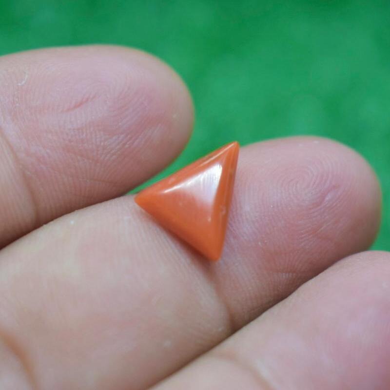 Red Coral | Marjan 3Ct(It)