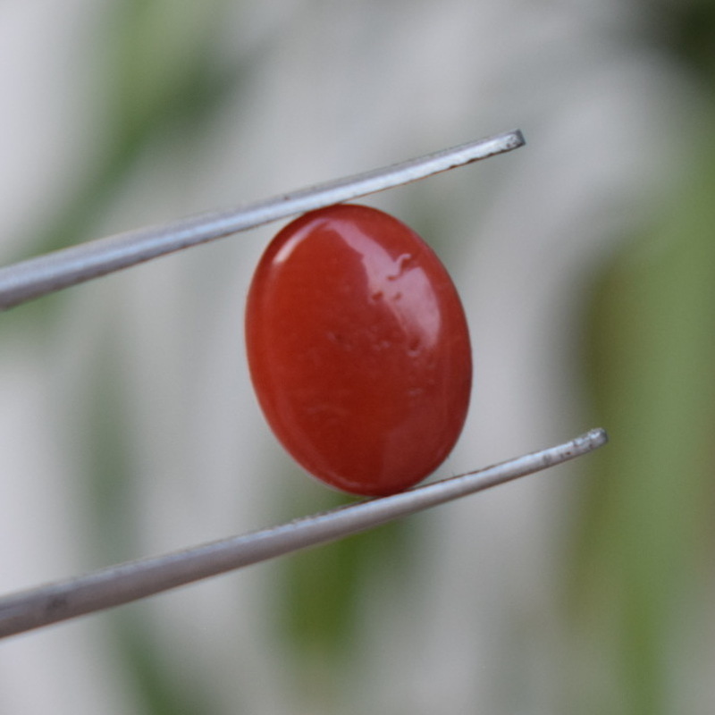 Red Coral | Marjan 3.20Ct(It)