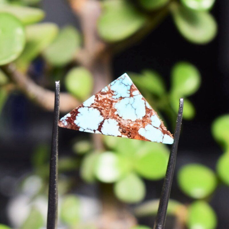 Feroza Turquoise C5.9