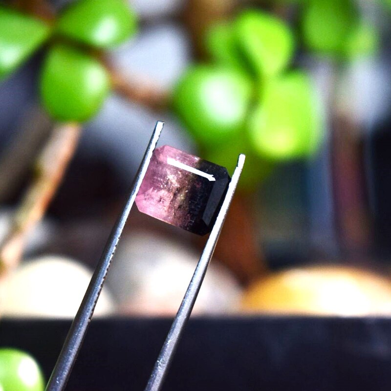 Bi Color Natural Tourmaline(T2.95)