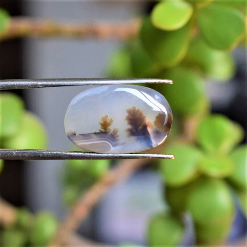Natural Dendritic Agate Shajri Aqeeq(6.60Ct)