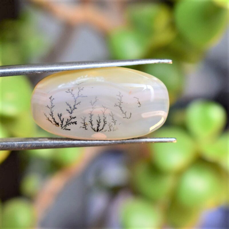 Natural Dendritic Agate Shajri Aqeeq(13.87Ct)