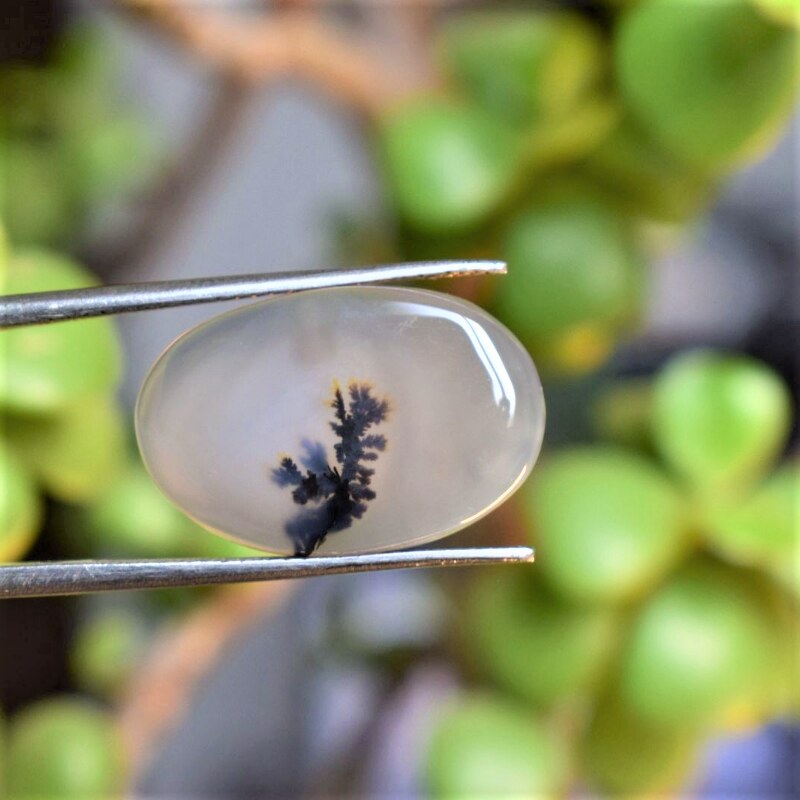 Natural Dendritic Agate Shajri Aqeeq(9.80Ct)