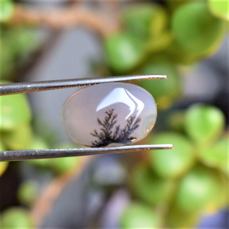 Natural Dendritic Agate Shajri Aqeeq(6.34Ct)