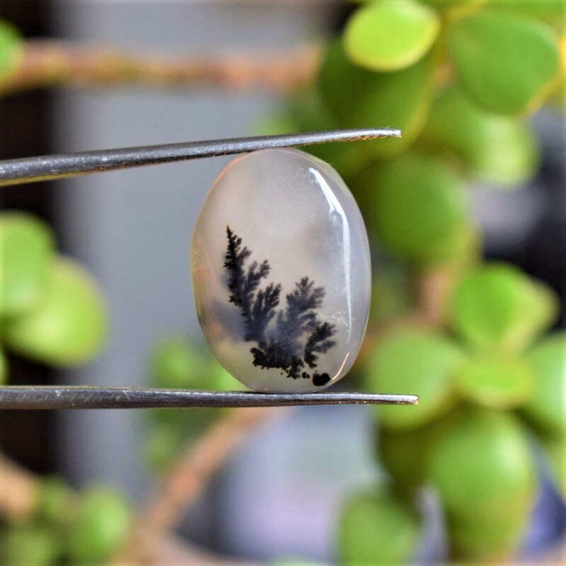 Natural Dendritic Agate Shajri Aqeeq(10.43Ct)
