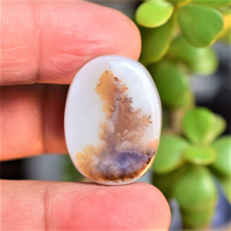 Natural Dendritic Agate Shajri Aqeeq(25.40Ct)