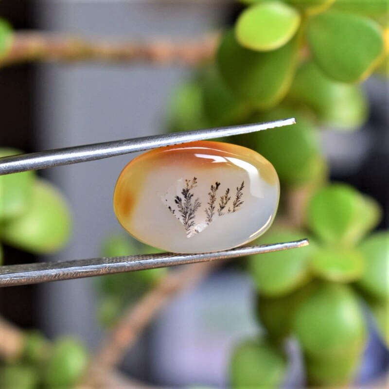 Natural Dendritic Agate Shajri Aqeeq(11.22Ct)