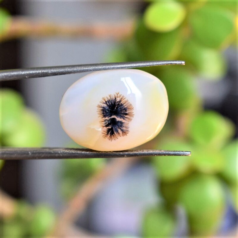 Natural Dendritic Agate Shajri Aqeeq(12.10Ct)