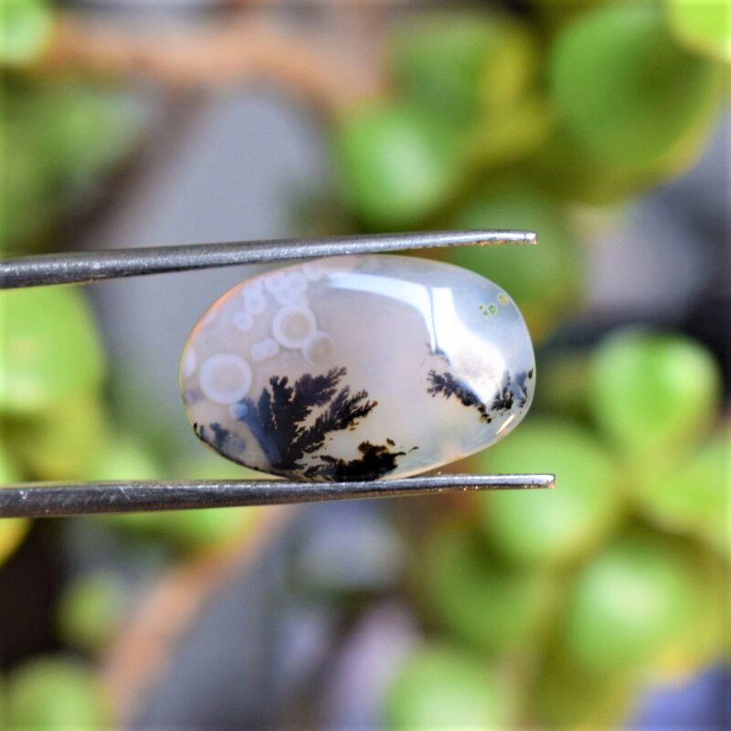 Natural Dendritic Agate Shajri Aqeeq(6.80Ct)