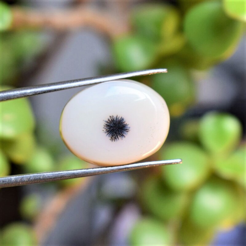 Natural Dendritic Agate Shajri Aqeeq(12.87Ct)
