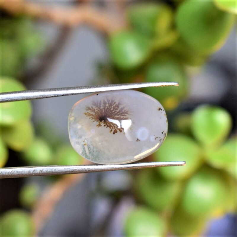 Natural Dendritic Agate Shajri Aqeeq(7.12Ct)