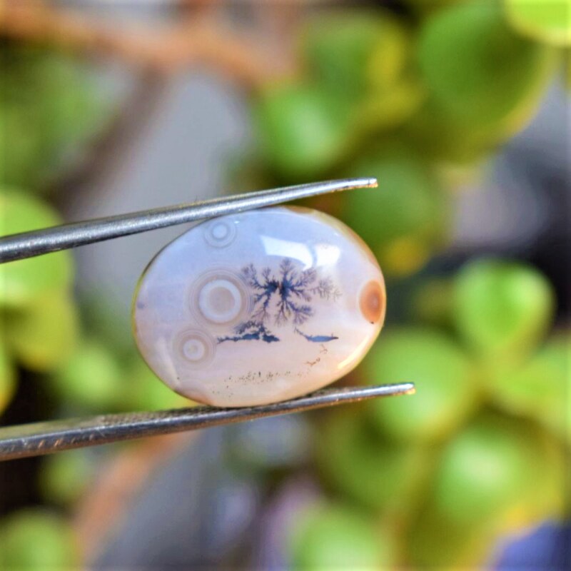 Natural Dendritic Agate Shajri Aqeeq(11Ct)