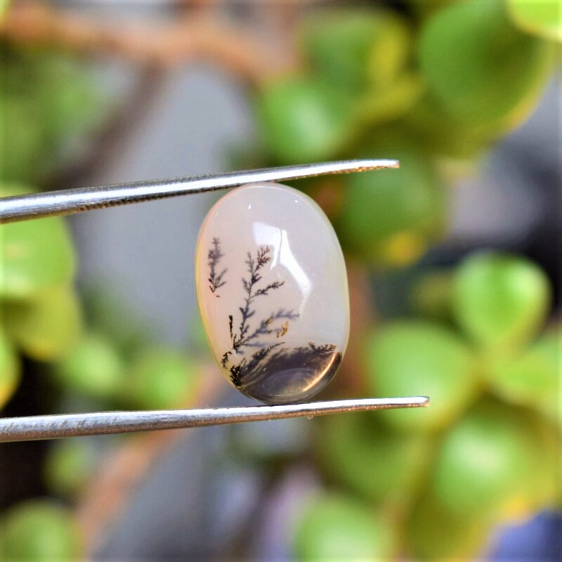 Natural Dendritic Agate Shajri Aqeeq(8Ct)