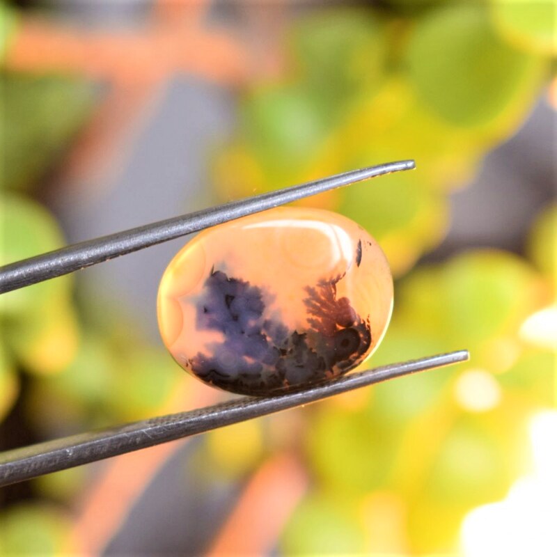 Natural Dendritic Agate Shajri Aqeeq(6.11Ct)