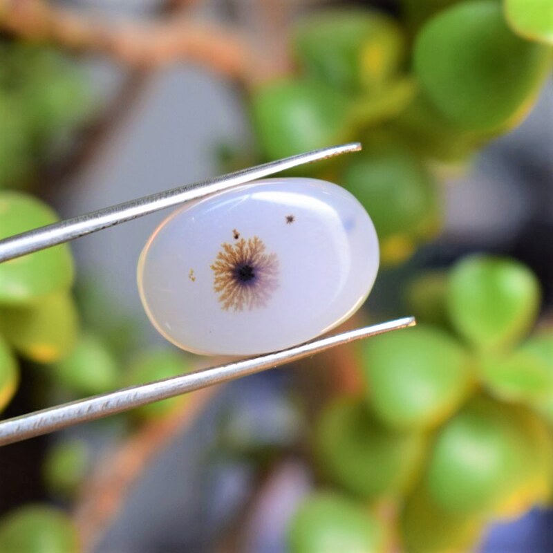 Natural Dendritic Agate Shajri Aqeeq(10Ct)