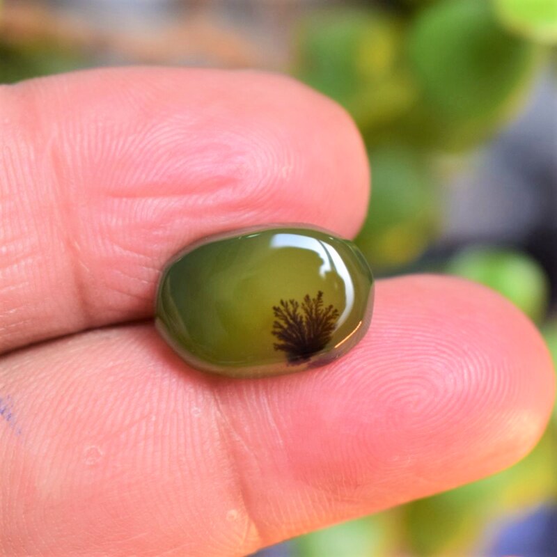 Natural Dendritic Agate Shajri Aqeeq(6.76Ct)