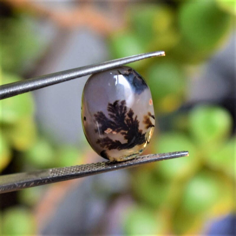 Natural Dendritic Agate Shajri Aqeeq(7.47Ct)